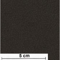Frosting Burst black
