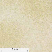 Shimmer goldmetallic/cream