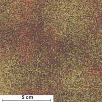 Shimmer goldmetallic/rostrot