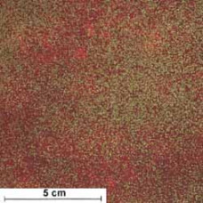 Shimmer goldmetallic/rot