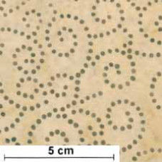 Java Batik Softies Dotted Scrolls bn/hellbn