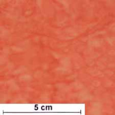 Tonga Java Batik Washart hellrot