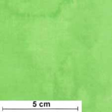 Fluid Texture Washart lime