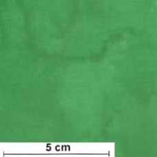 Fluid Texture Washart grün