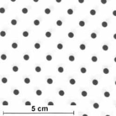 Polka Dots sw/ws