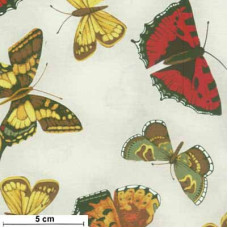 Poppy Poetry Butterflies bunt/cream