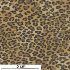 Wild Small Leopard Skin braun/hellbraun