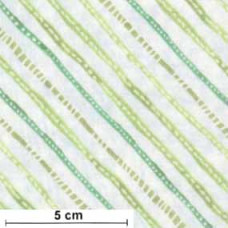 Diagonal Stripes grün/ws