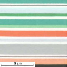 Woodland Adventure Stipes or/gr/sw/gn/jade