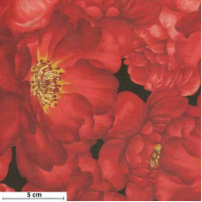 Fleur Larges Packed Roses rot/schwarz