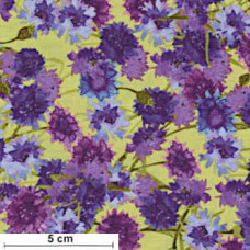 Sunny Fields Flowers violett/hellgrün