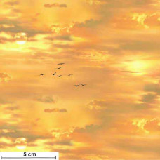 Landscape Medly Sunset
