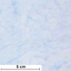 Hoffman Watercolor Batik baby blue