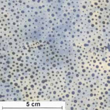 Hoffman Watercolor Batik Dots blau/graublau
