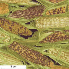Harvest Corn - Mais goldmet./grün/ocker/braun