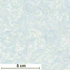 Scroll Blender himmelblau