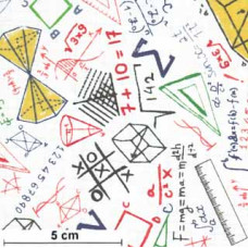 Mathematics bunt/ws