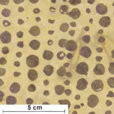 Tonga Batik Bubbles braun/hellbtraun