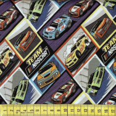 Nascar Minibilder