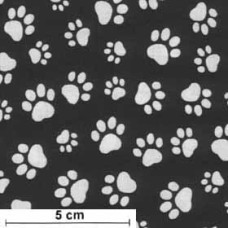 Paws ws/schwarz