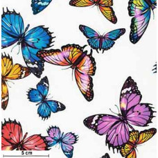 Fantastic Forest Butterflies bunt/cream