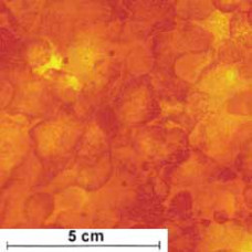 Tonal Blender gelb/orange/hellrot