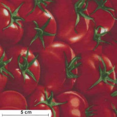 Tomatos - Tomaten rot