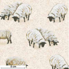 Down on the Farm Sheeps ws/sw/ecru