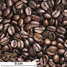 Coffee Time Coffee Beans braun