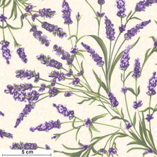 Lavender Sachet Large Lavender vt/gn/cream