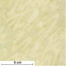 Wilmington Batik Paint cream/beige