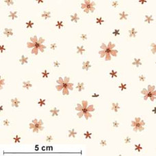 Little Fawn Celebration Disty rs/cream