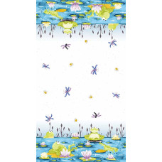 Pauls Pond Border