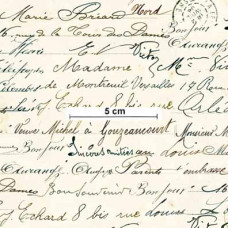 Vintage Roses Handwriting Text sw/cream