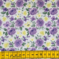 Rose-CD2255 Lilac lila-gelb-grün