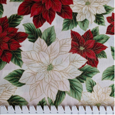 Poinsettia natural creme