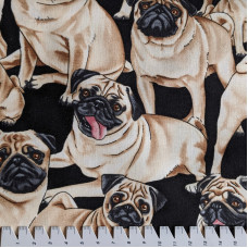 Bulldog black schwarz