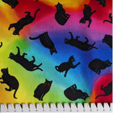 Rainbow cats regenbogen
