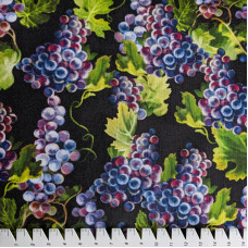 Grapes black Weintrauben schwarz