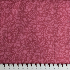 Botanical Journal Leafs Red rot