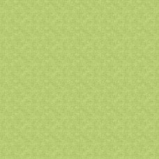 RETRO STITCH *7* LIME