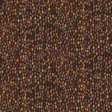 PREHISTORIC FOSSILS BROWN